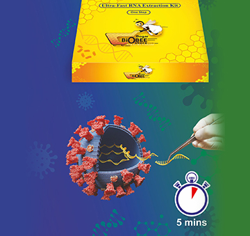 bio-bee-extraction-kit